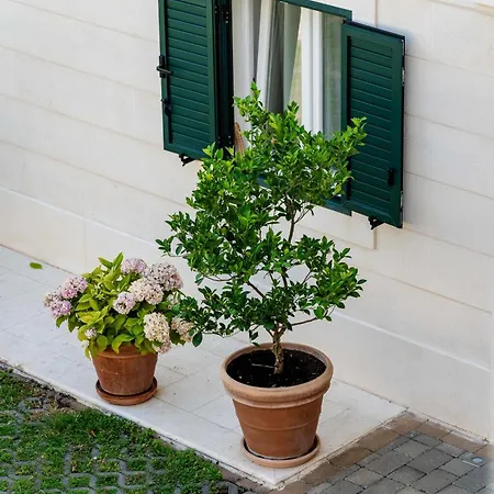 Kogo Apartment Hvar Town