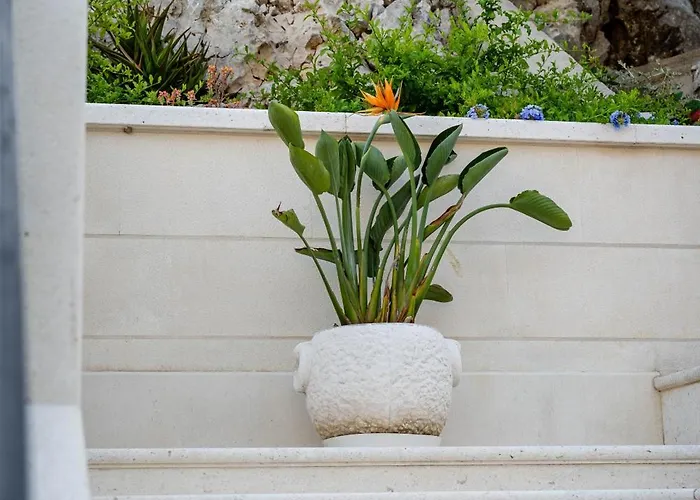 Kogo * Hvar Town